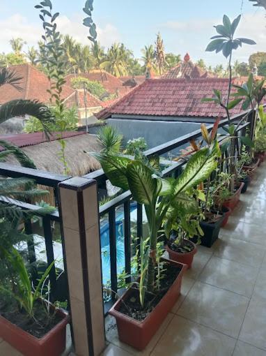 Grace Paradise Guest House Nusa Lembongan  Ngoại thất bức ảnh