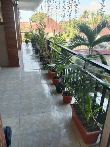 Grace Paradise Guest House Nusa Lembongan  Ngoại thất bức ảnh